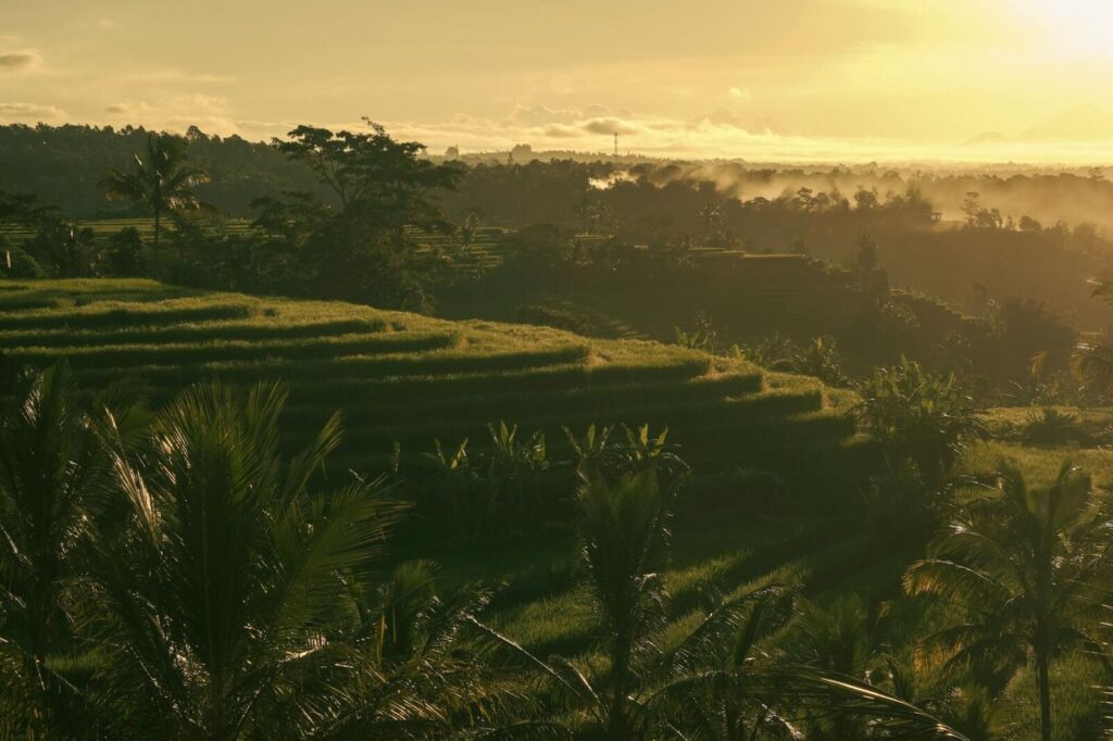 Healing Retreat at Eling Sanctuary: 5 Hours That Reconnect Body and Soul